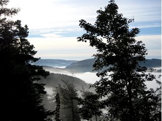 glentress walking trails